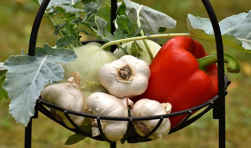Vegetable-based creations
